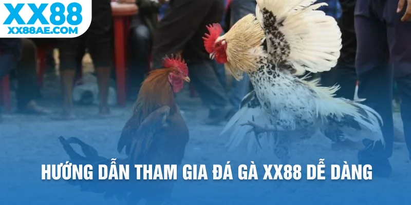 Hướng dẫn tham gia đá gà XX88 dễ dàng